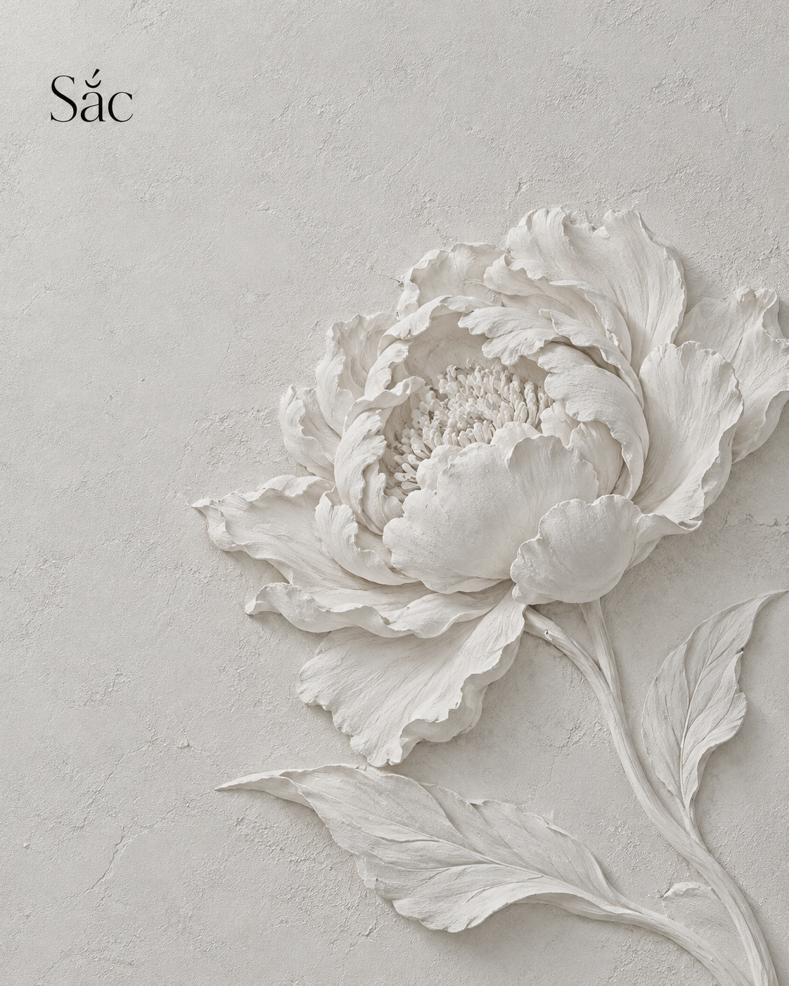 Sắc Website · sacvn.com
